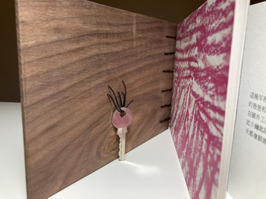 thefurious little 1-2.jpg