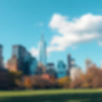 new york city park.jpg