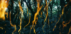 Tenseless-71, Flame, C print, 100x209cm, 2010