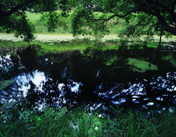 Tenseless-67, Sinking, 120x153cm, C print, 2009