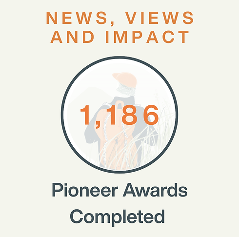 news views and impact