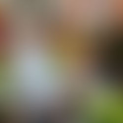 TCI Consultants Foreign company registration