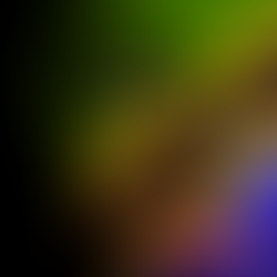 Investing in Tanzania in 2026: Building Investor Confidence After Political Uncertainty