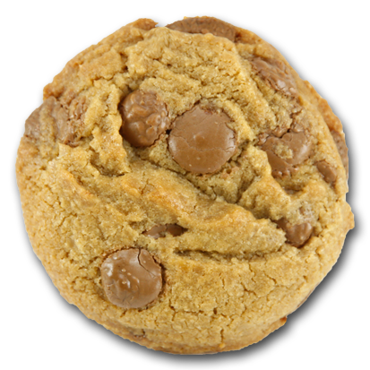 Milk Chocolate Cookie