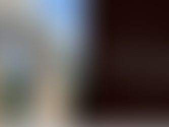 Double-Glazed Protective Screens for Staircase Windows Glasgow | MWM