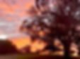 Farm Wedding Elegant, Country, Rustic Wedding Venues Victoria