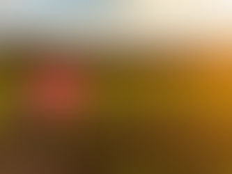 Buying Land Through a Reputed Broker