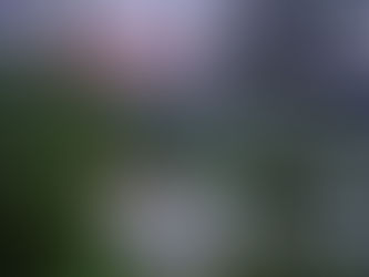 TripForge Gear Closet