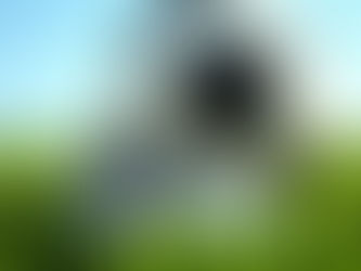 Laun, bónusar og lúxusákvæði – hvað felst í samningi atvinnuknattspyrnumanna?