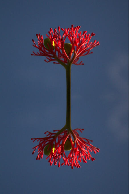 Conscience d'Unité et Réalité Multidimensionnelle - Principe Fondateur
