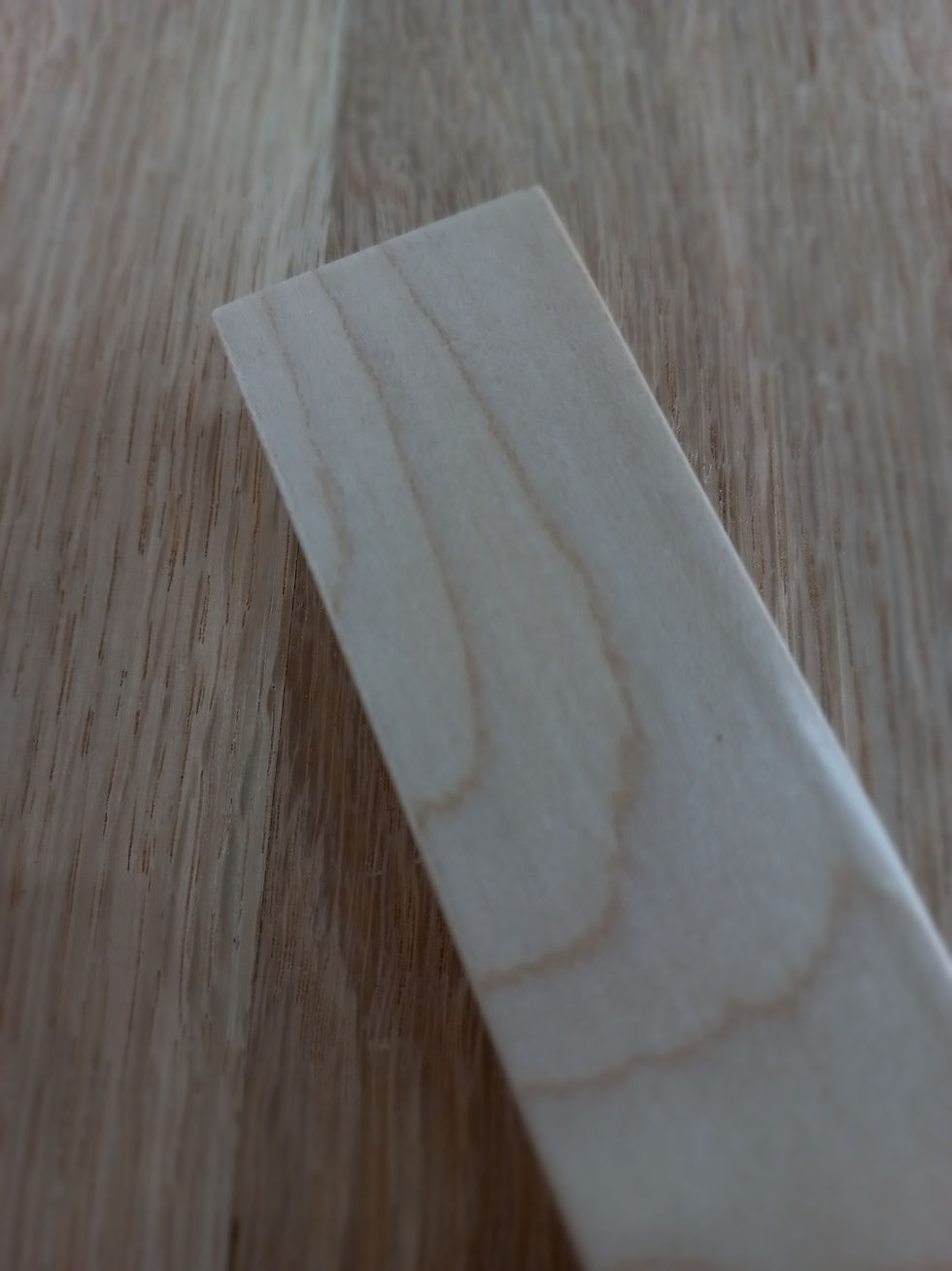 Thumbnail: Nature's Gift Mezuzah Case