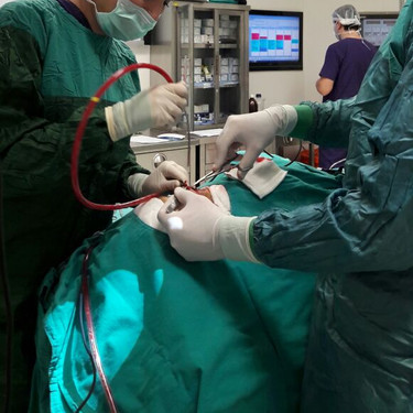 Dr Tunc Ustun Kulak Hastaliklari Rinoplasti Samsun