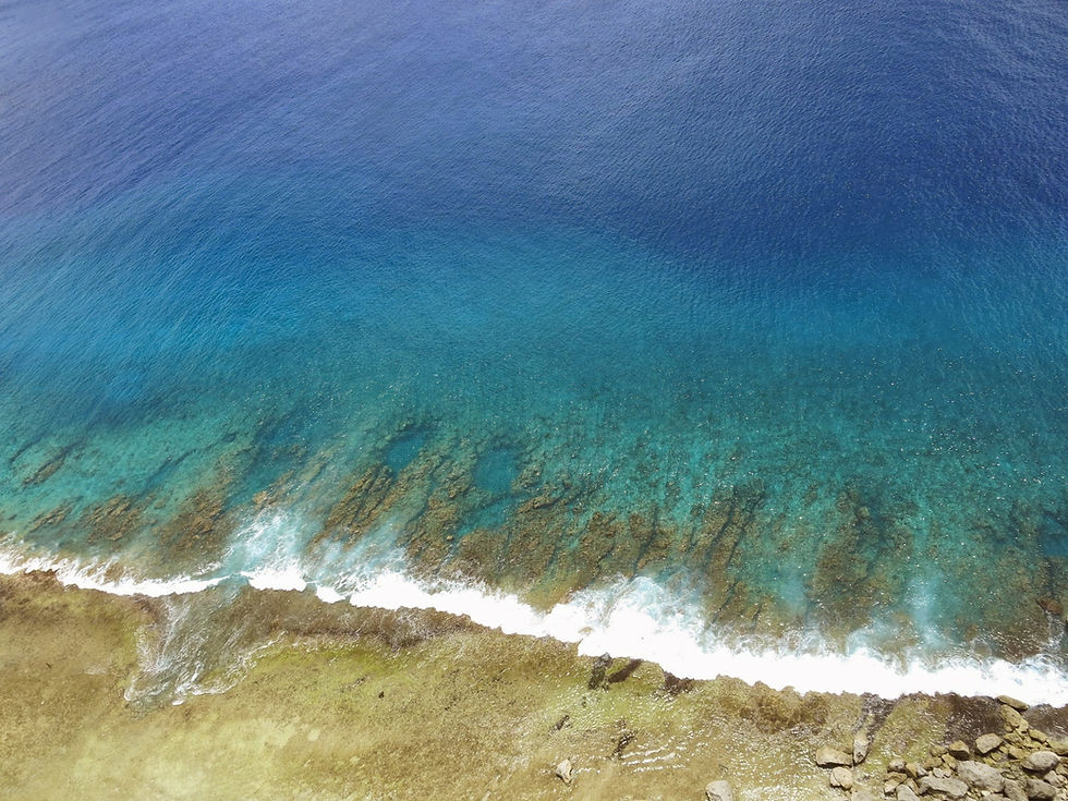 World Oceans Day 2026