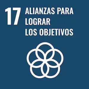 objetivo-17.webp