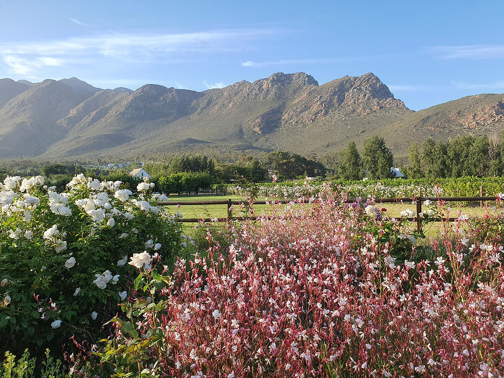 Mountain views Klein Karoo