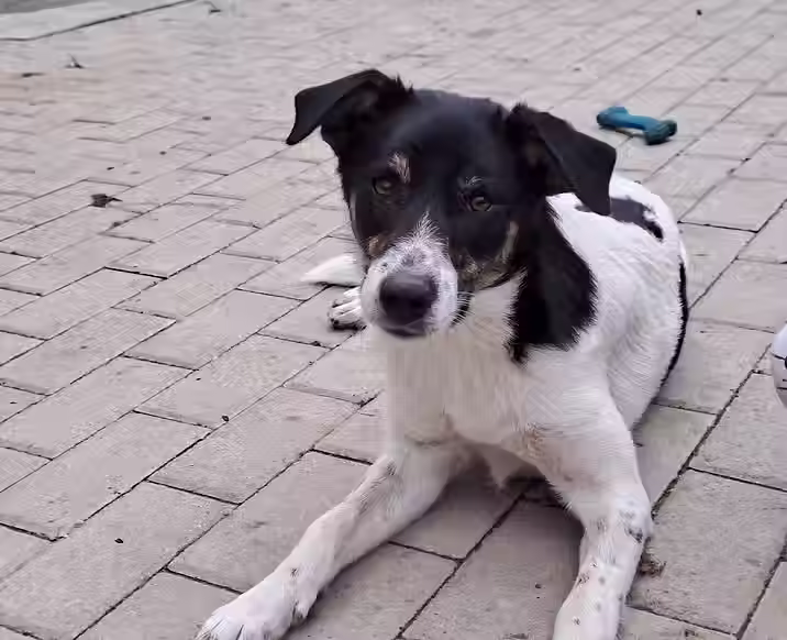 Bella (Infos folgen)