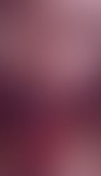 NYFW : 3 coups de cœur du show de Flying Solo !