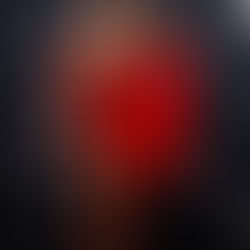 Les meilleurs looks du Black Carpet du Gala Dynastie!