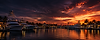 Header background.png