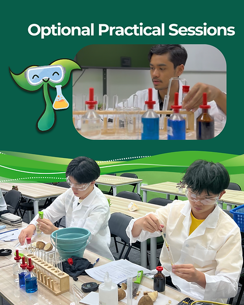 Practical Sessions.png