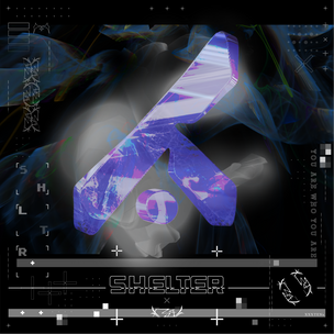 SHELTER TSHIRT-01.png