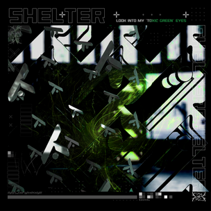 Sheltershirt 2-01.png