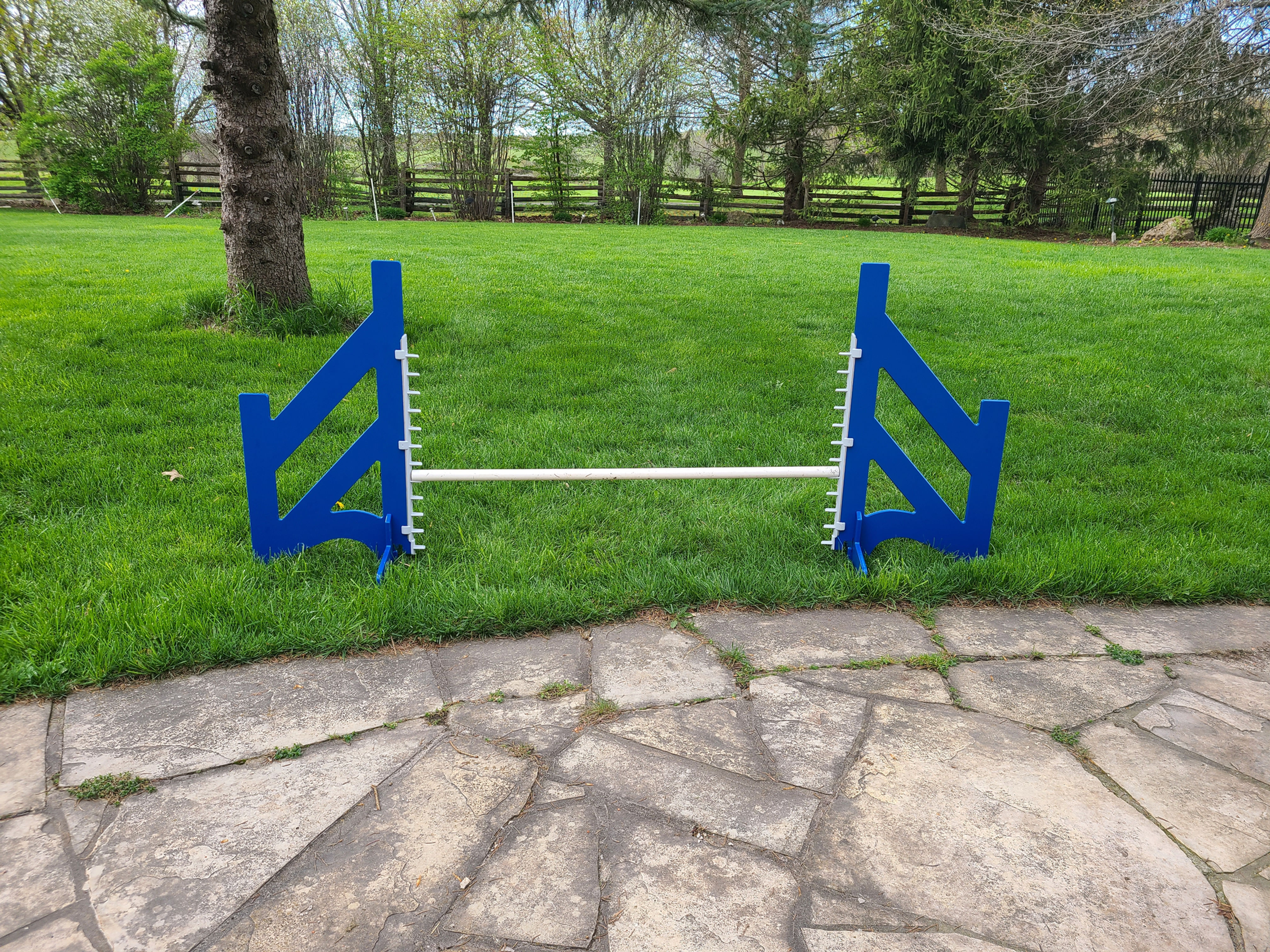 Adirondack Wing Jump