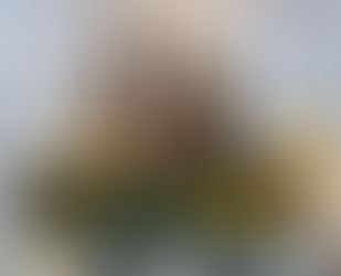 اعتراضات به کشتی قرآنی مطلا