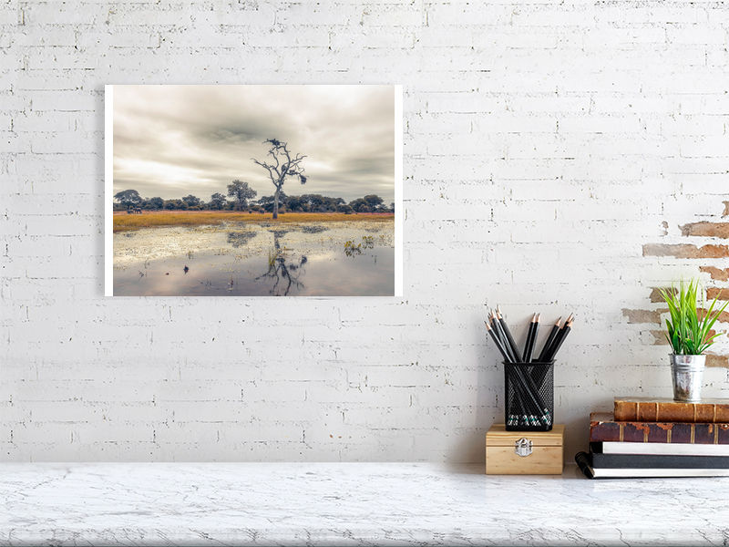 Thumbnail: Moody day in Africa
