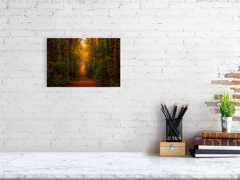 Thumbnail: Almost Autumn