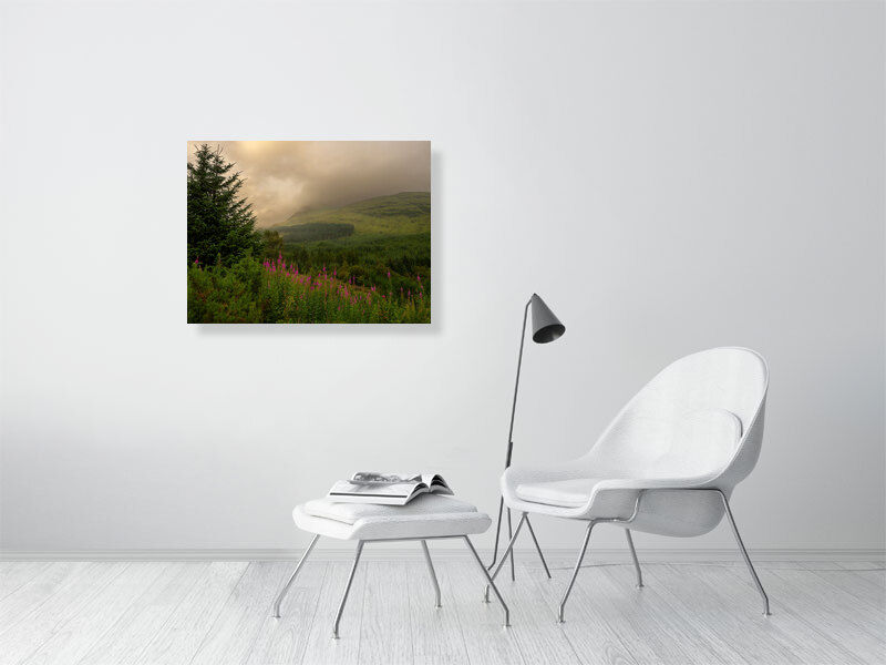Thumbnail: Illusive Trees