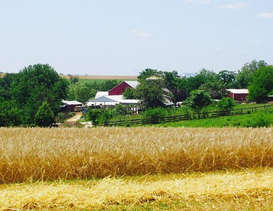 farm.png