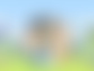 5 Parenting Lessons from Bluey