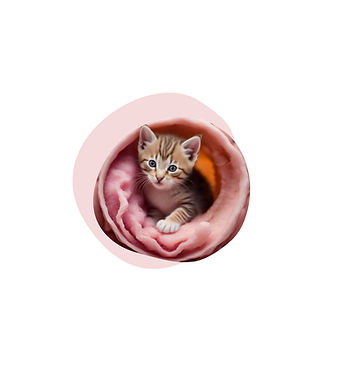 Design sans titre (4)_edited.jpg