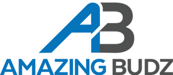 AB logo_color-wht copy.png