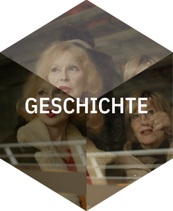 AVA_Website_Cluster_DE_History