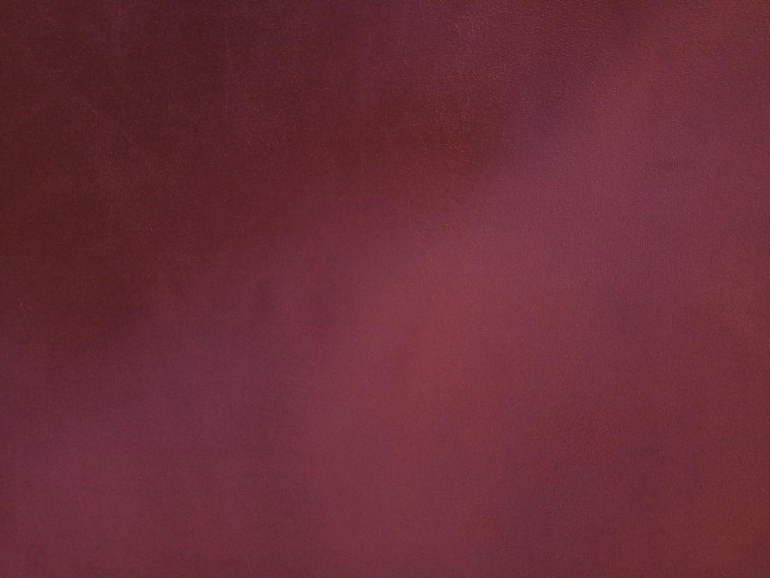 Suede Lisa Bordô 17