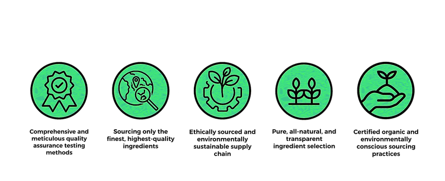 2024.11.04 - CP - Icons with text 1_edit