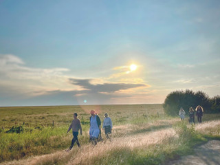 Yoga-Walking für TSV-Mitglieder
