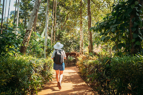 Woman walking on a path through lush green forest, enjoying the scenery.