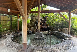 IMG_0754.jpeg