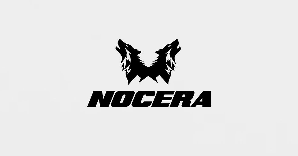 nocera logo 3.jpg