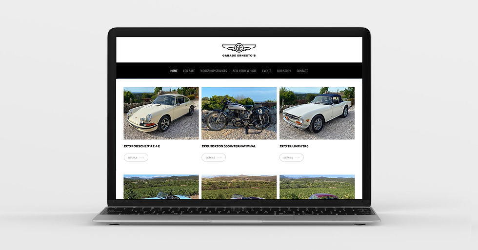 GE site desktop 5.jpg