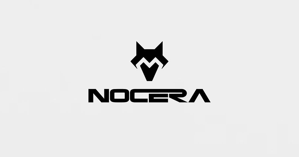 nocera logo 5.jpg