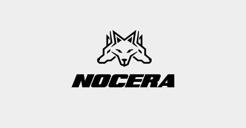 nocera logo 4.jpg
