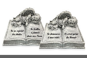 Ange sur Livre.jpg