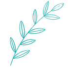 Feuille_edited.png