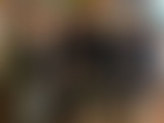 埼玉・内装材に関する物にふれる研修会③