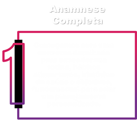etapa 1 de atendimento