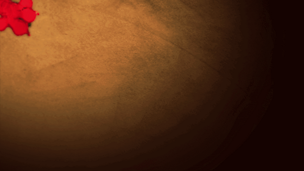 s553.gif
